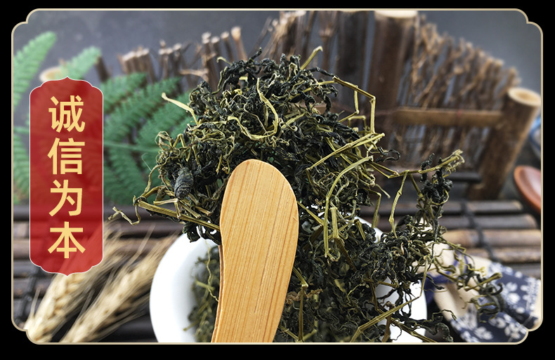 Jiaogulan Gynostemma Loose Herb Dried Tender Leaves and Vine for Daily Herbal Tea 500g in use