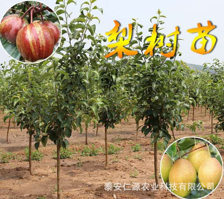 0e1645ad0802b35ed4191c39543da9