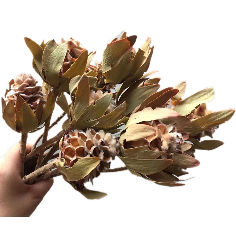 微信图片_20200422003336_副本