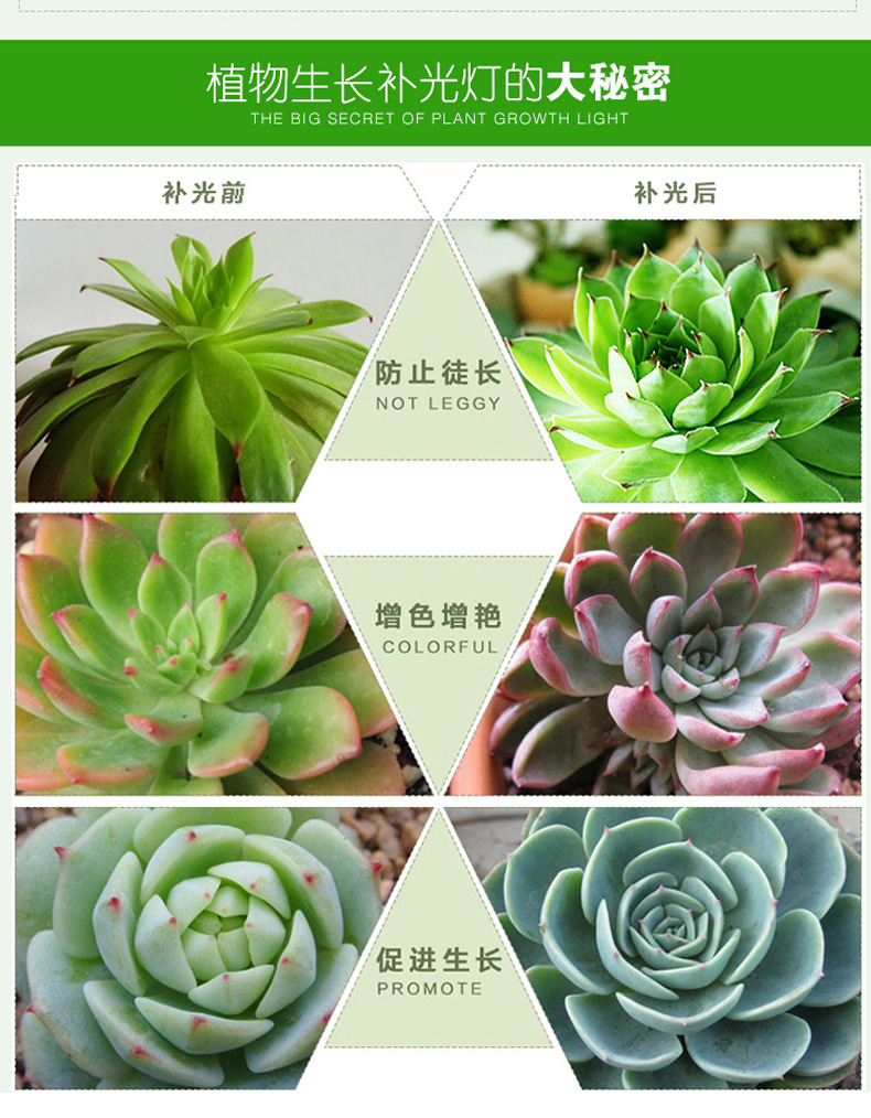 大麻灯-不带品牌名1111_08