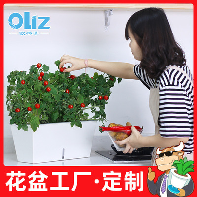 大號陽台種菜盆家庭園藝加厚長方形果蔬菜花盆塑料花盆廠家直銷