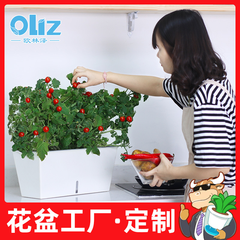 大號陽台種菜盆家庭園藝加厚長方形果蔬菜花盆塑料花盆廠家直銷