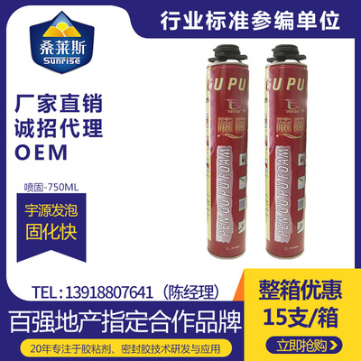 批发 发泡胶 聚氨酯发泡剂 喷固门窗  整箱起售 桑莱斯工厂生产