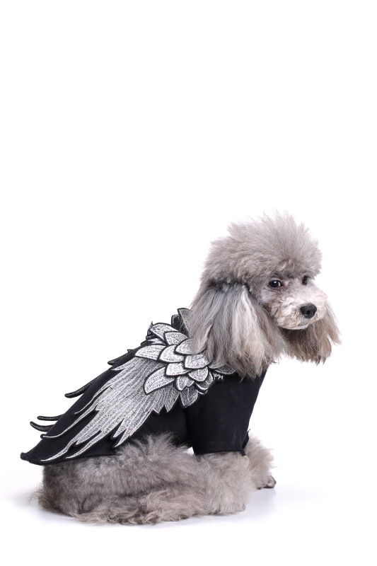 寵物衣服工廠批發翅膀寵物衣服新品春秋裝 小狗衣服翅膀款秋裝