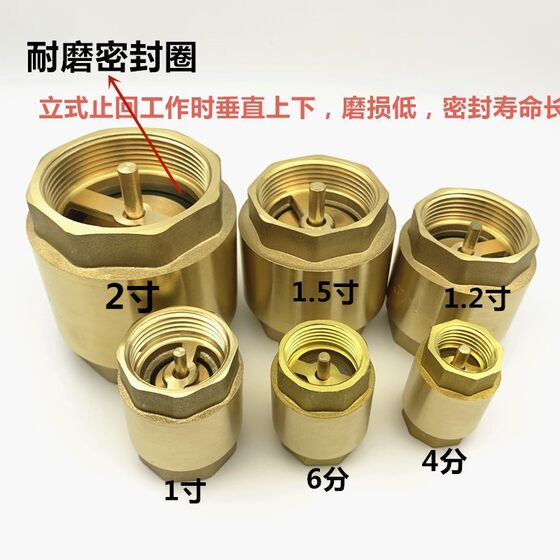 Brass vertical check valve spring check valve check valve table front check valve copper rod core thread wholesale
