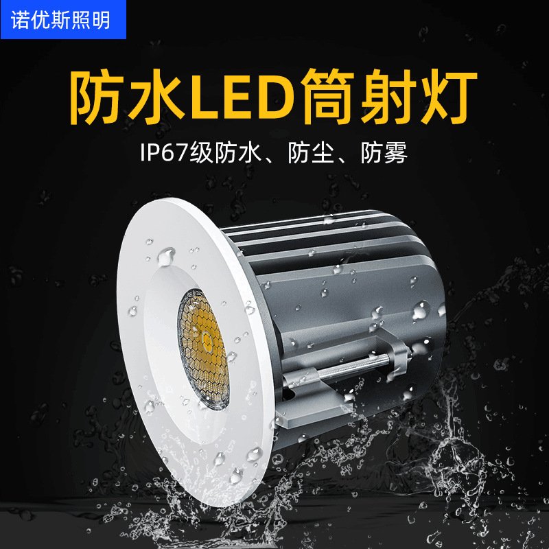 浴室淋浴房防雾防尘射灯雨棚飘檐天花灯户外嵌入式IP65 防水筒灯|ru