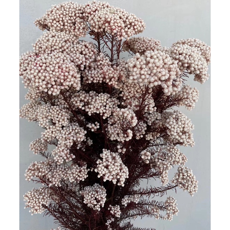 微信图片_20200408183251