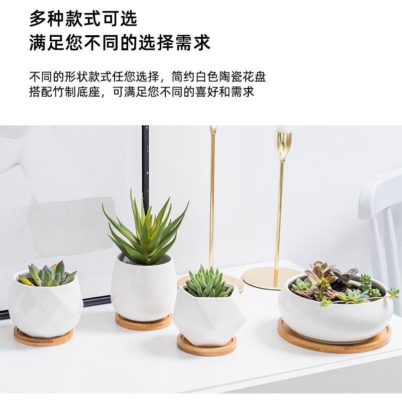 多肉种植盆_07.jpg