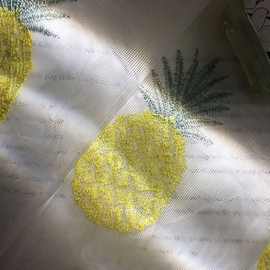简美跑量热带雨林菠萝凤梨卡通刺绣窗纱白纱卧室幼儿园餐厅外贸成