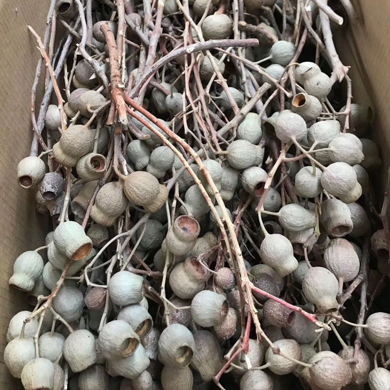 微信图片_20200416133941_副本