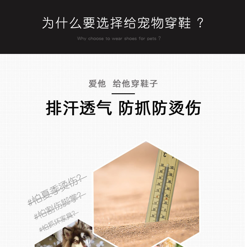 猫眼网鞋详情页_r4_c1.jpg