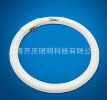 飛利浦 環形熒光管 TL5C 三基色環型燈管環形熒光管T5-22w！