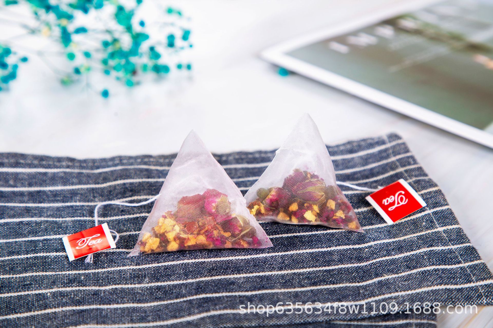 火龙玫瑰 (5).JPG