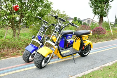 Factory direct supply: Elektrikli motosikletlər