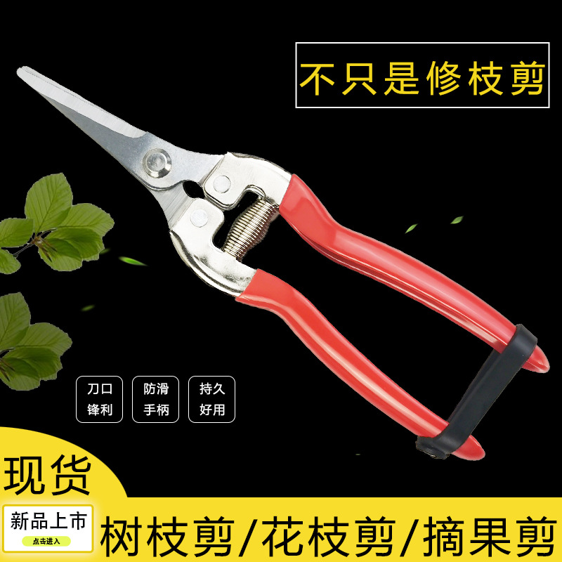 园林尖头修枝剪葡萄剪摘果剪树枝剪剪枝剪刀园艺剪刀花枝剪