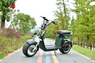 Promotional New Fashion Electric: Elektrikli motosikletlər
