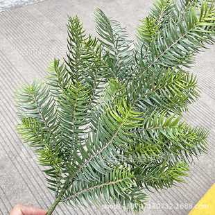 �t��ɼ�����}�Q���~�����鼾G���@���b�ɼ���~�����c�Y�����~��