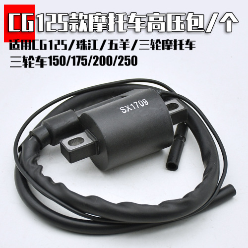 Motorcycle Pearl River High Voltage Ignition Coil Happy CG125GY6-125 WY125JH70 High Voltage Pack Accessory