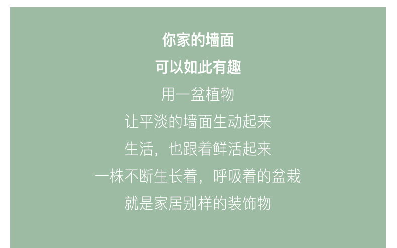 ����ҳ2_02