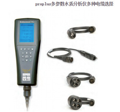 美国YSI ProPlus多参数水质测定仪 配温度/PH/电导率/溶解氧
