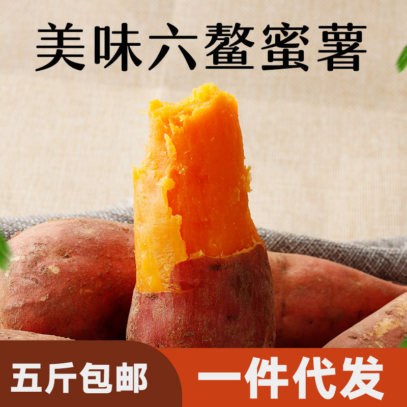 福建六鳌沙地紅蜜薯現挖農家新鮮西瓜紅地瓜番薯産地直發壹件代發