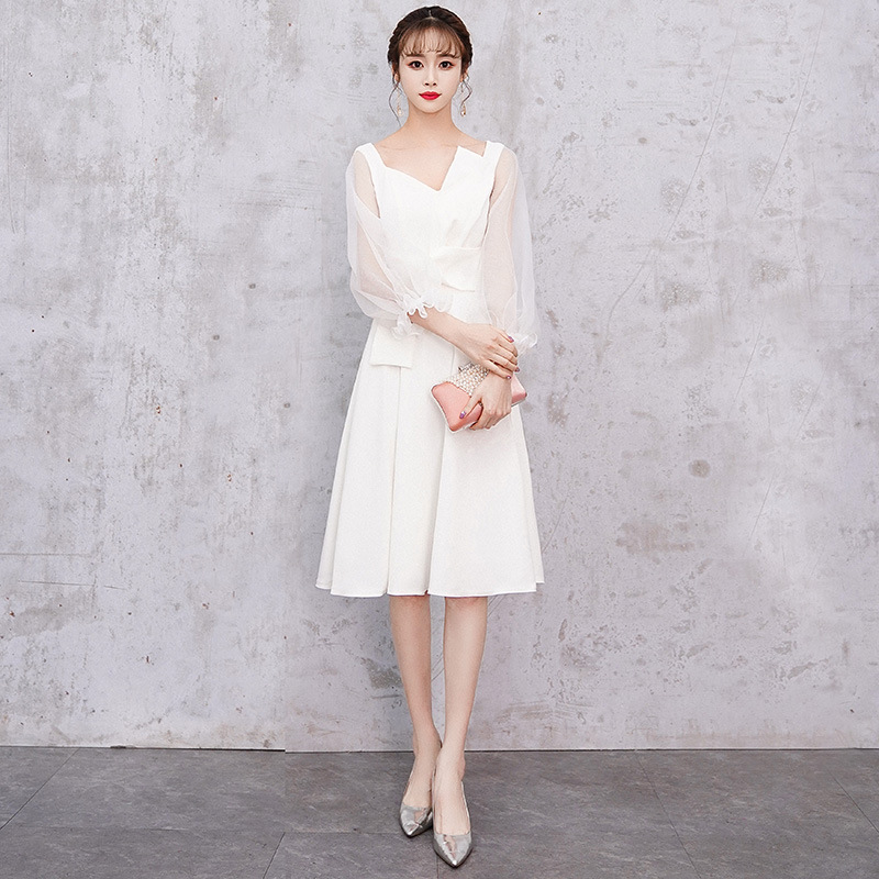 A version skirt with transparent sleeves