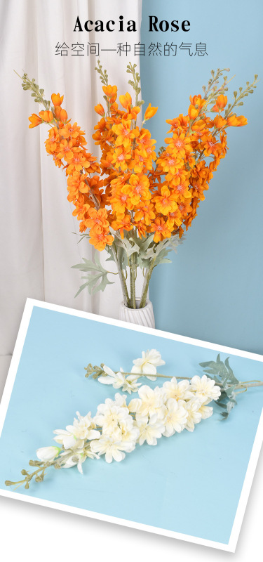 https://www.toonies.cn芮貝-飛燕草_01.jpg_800x800.jpg