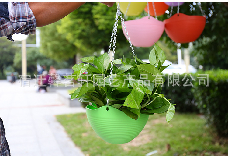 ������_08