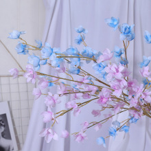 ��cС�L� ���� �¿�ܛ�b���üٻ� ľ�޻��� ⏻��� ·��������