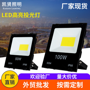 跨境led投光灯户外防水泛光灯100W大功率 草坪庭院聚光投射广告灯详情13