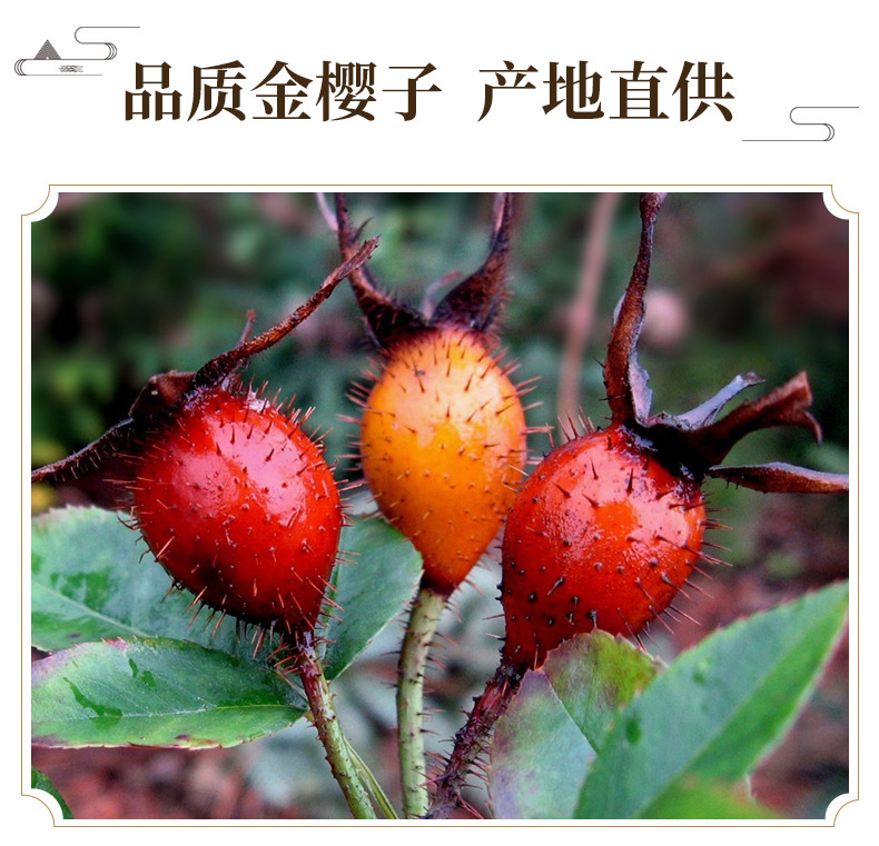 Dried Jin Ying Zi Rosa Laevigata Fruit Slices 500g Traditional TCM Herbal Decoction Ingredient key features