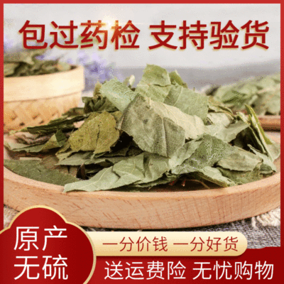 甘肃淫羊藿 产地销售大货供应 散装现货高含量 淫羊藿叶|ms