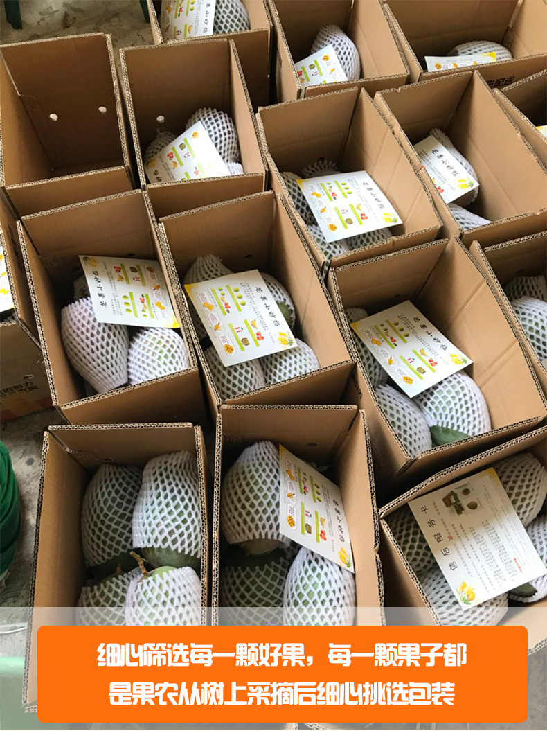 8.jpg?x-oss-process=image/format,png