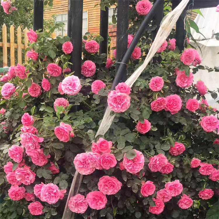 微信图片_20200707171236