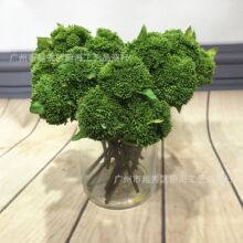 仿真菜花果手感软胶花菜果多都软装花艺家居酒店装饰浆果米仔果