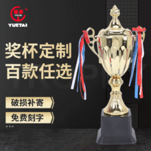 学校运动会金属奖杯 青少年学生金银铜奖杯高尔夫足球篮球奖杯