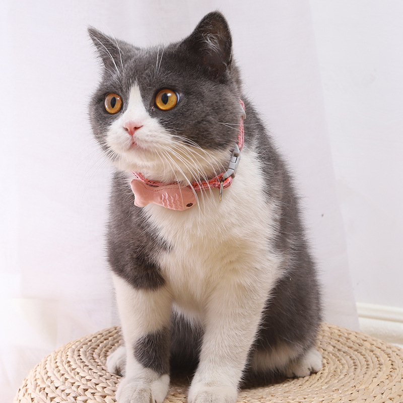 Collar de gato Collar Collar de perro Campana de gato Tejido de gato Collar de cuello de gato Pequeño Collar de decoración de perro Collar de mascota