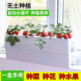 厂家阳台无土栽培种菜盆设备 水培蔬菜草莓种植箱 智能水耕种花盆