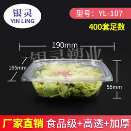 【工厂直营】银灵蔬菜沙拉盒透明水果盒厂家直营一次性PET方形盒