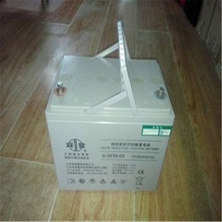 江苏双登蓄电池6-GFM-24密封免维护12V24Ah 质保三年