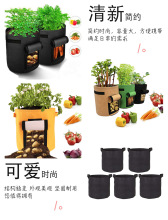 �F؛�羳����ë�ַNֲͰ ���ßo���������Nֲ���R���ë��ֲ��Ͱ