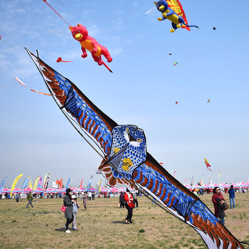 Eagle Kite Large Extra Large Breeze Easy-Fly Kite Weifang Adult Eagle Kite with Wheel