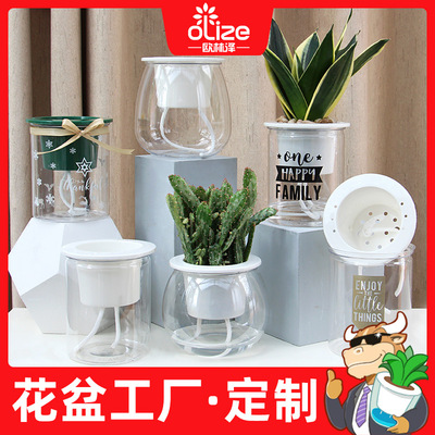 Oulinze Manufactor goods in stock Flower pot Plastic wholesale Full transparency originality PET Lazy man Ball bottle brand new water uptake
