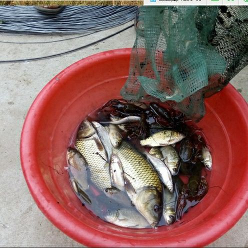 微信图片_20200712183259