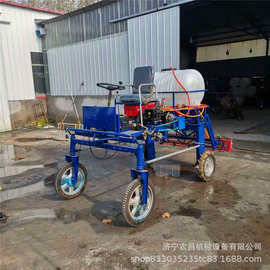 玉米小麦打药机 柴油四轮打药机 展臂式宽幅喷药机图片果树