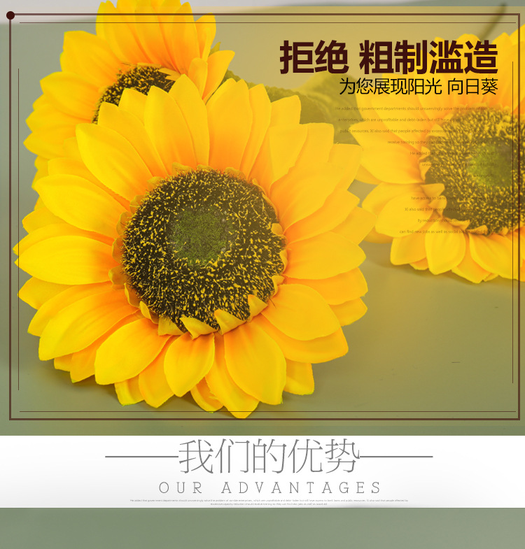 55fd6101006190dec9453fc843eca9