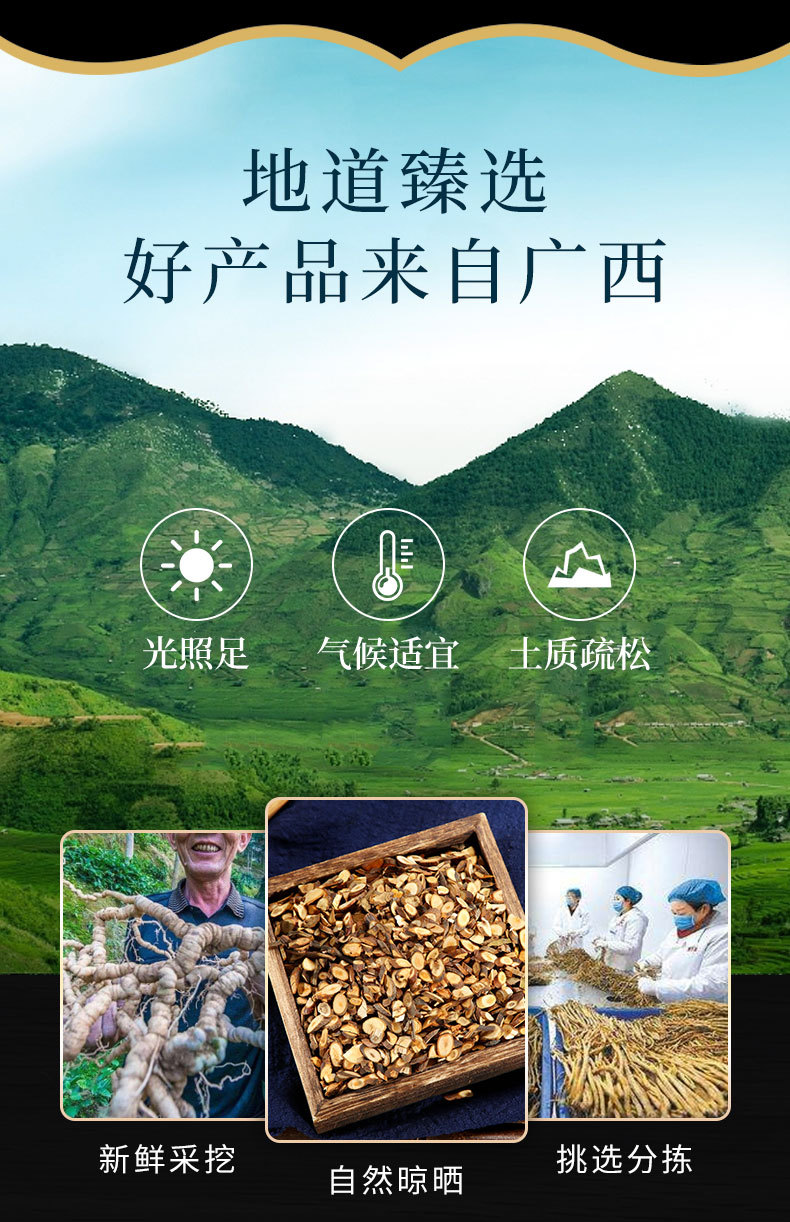 Gui Zhi Slices (Cinnamomum cassia) — Dried Cinnamon Twig Decoction Pieces for TCM Tea & Soup overview