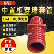 10kV۴׹TG4-10Q/128(100*100)~մÙhW׹