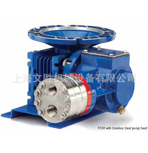 ����WANNER��HYDRA-CELL P100