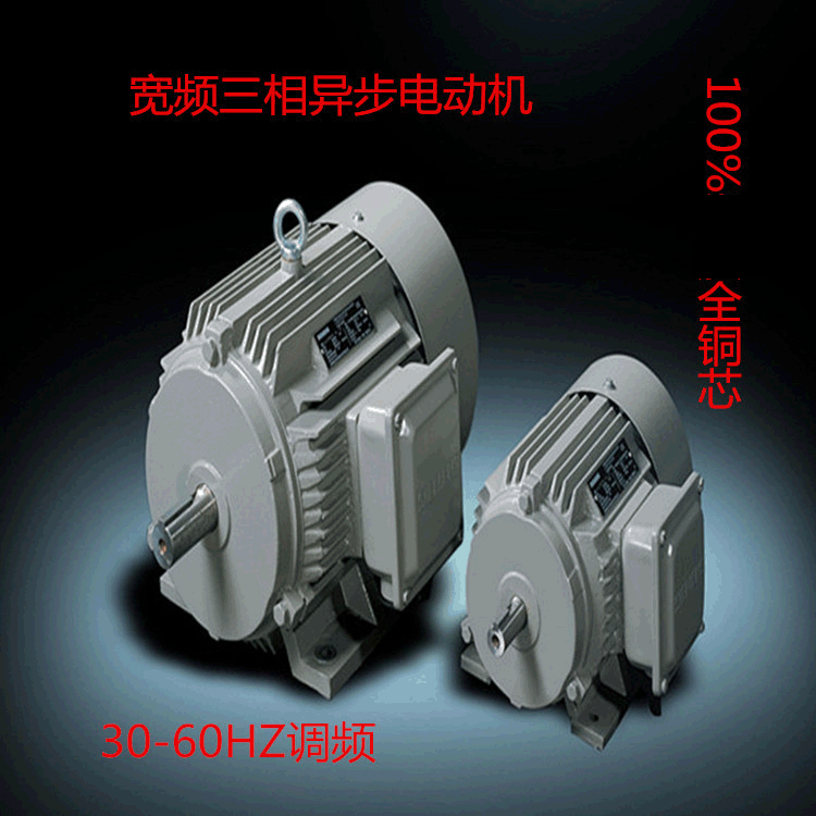 供应宽频电机YP2-280S-4-75KW调频电机 三相异步防爆电动机